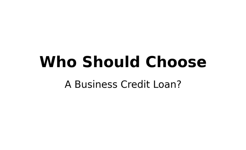 Who should choose a business credit loan based on income structure and business status